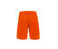 MESA HERO SHORT